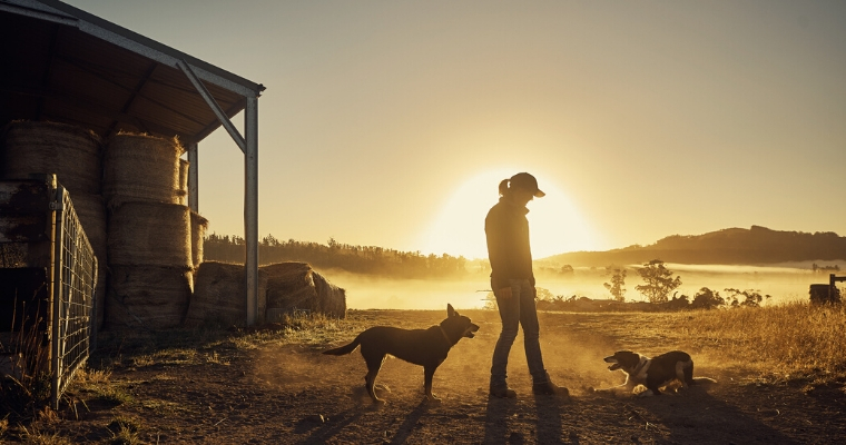 Drought Relief image