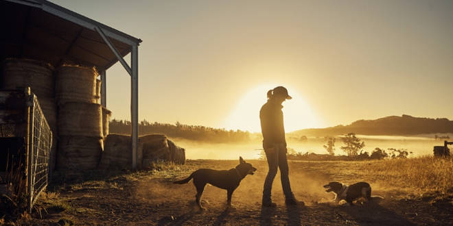 Drought Relief image