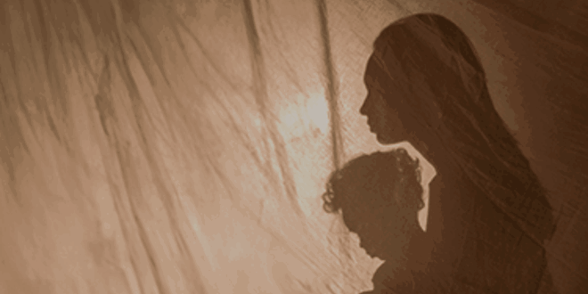 Domestic and Family Violence image